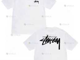 Мужская футболка Stussy Унисекс small and big logo стусси тишка худи - VDALA.PRO