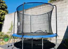 батут німецький - VDALA.PRO