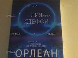 Книга Лія Стеффі «Орлеан» - VDALA.PRO