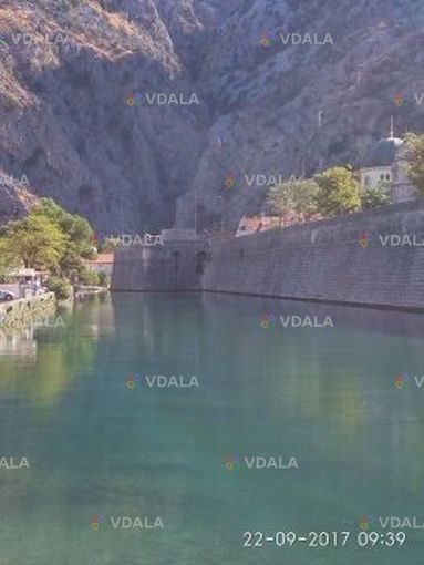 Пошук попутників з України - VDALA.PRO