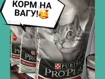 Корм для котів Корм для котів - VDALA.PRO