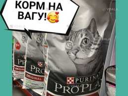 Корм для котів Корм для котів - VDALA.PRO