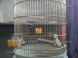 Клетка для попугая - VDALA.PRO