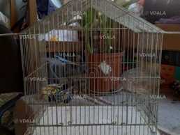 Продам клетку для птиц - VDALA.PRO