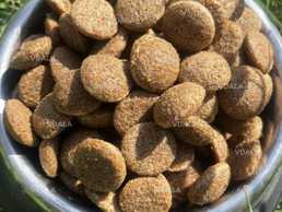 Корм для собак - VDALA.PRO