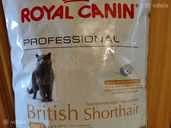 (13кг)royal canin british shorthair - сухий корм для кішок британців - VDALA.PRO