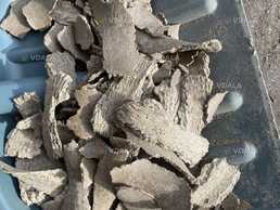 Макуха подсолнечная Макуха подсолнечная - VDALA.PRO