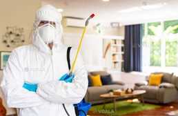 ПРОФЕСІЙНА боротьба З ШКІДНИКАМИ - VDALA.PRO