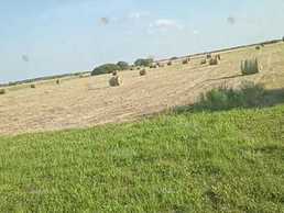 Продам сіно Продам сіно - VDALA.PRO