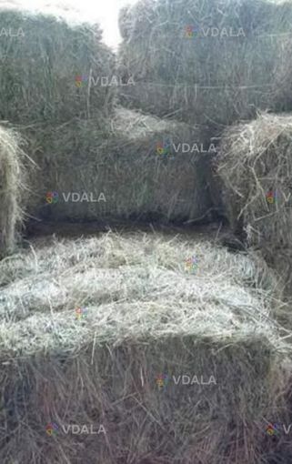Продам тюки соломи - VDALA.PRO