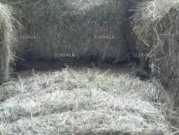 Продам тюки соломи Продам тюки соломи - VDALA.PRO