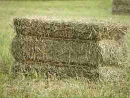 Продам сіно Продам сіно - VDALA.PRO