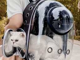 переноска для домашніх улюбленців переноска для домашніх улюбленців - VDALA.PRO