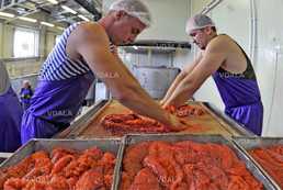 Икра осетра, лосося, форели, щуки. Санта Бремор - VDALA.PRO