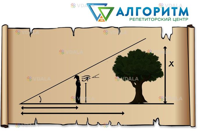 НМТ у Дніпрі – репетиторський центр Алгоритм - VDALA.PRO
