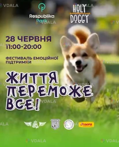 🐕 Фестиваль емоційної підтримки з коргі у Києві - VDALA.PRO