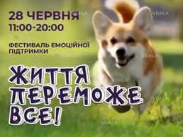 🐕 Фестиваль емоційної підтримки з коргі у Києві - VDALA.PRO