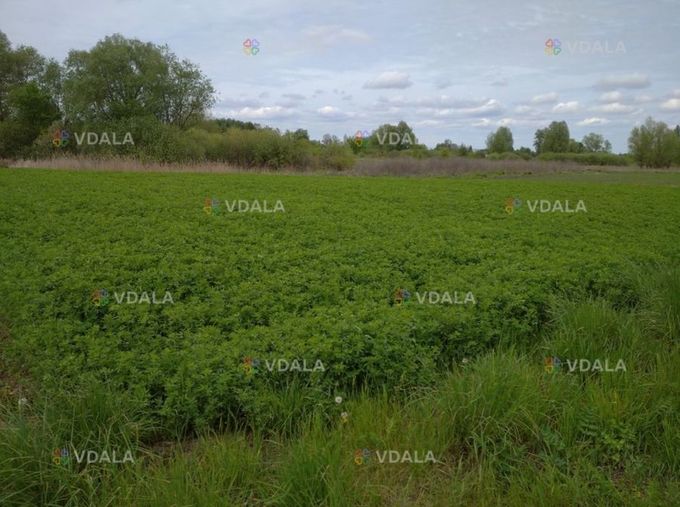 Продам Город 9.48 соток - VDALA.PRO