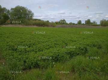 Продам Город 9.48 соток - VDALA.PRO