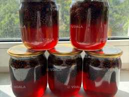 ОПТ Варення з соснових шишок 2025 року - VDALA.PRO