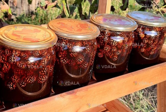 Варенье из шишек - VDALA.PRO
