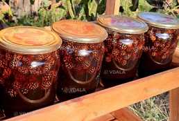 Варенье из шишек Варенье из шишек - VDALA.PRO