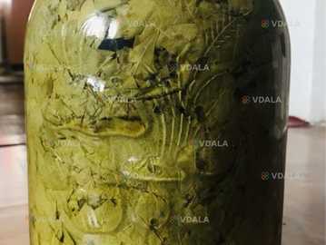 Продам Виноградные листья для долмы - VDALA.PRO