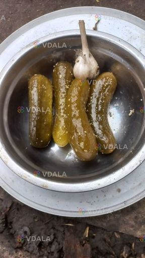 ХРУМКІ квашені огірки - VDALA.PRO
