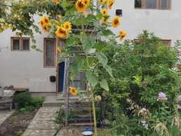 Візьму на квартиру одного хлопця студента - VDALA.PRO