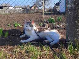 Район Нагорки в Моссаковського - VDALA.PRO