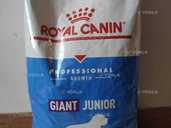 Продам сухий корм для собак Royal canin Giant Junior - VDALA.PRO