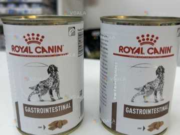 корм Royal canin gastrointestinal - VDALA.PRO