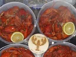 Раки живі та варені. Креветка та плотва з ікрою - VDALA.PRO