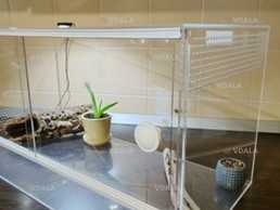 Террариум - VDALA.PRO