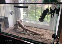 Тераріум - VDALA.PRO