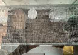 Террариум + обитатель - VDALA.PRO