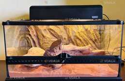 Террариум - VDALA.PRO