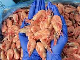 Креветка варено-морожена, розмір 90/120 Полар, без льоду - VDALA.PRO