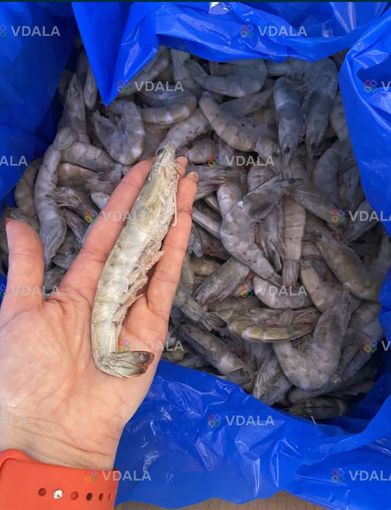 Креветка дика атлантична , варено-морожена, без льоду, сухої заморозки - VDALA.PRO