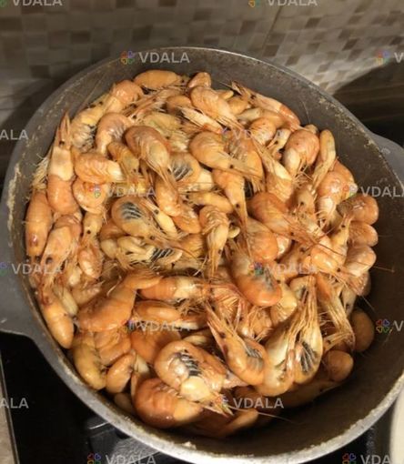 Свежайшая морская Черноморская рыба - бычки, камбала, крабы, рачки. - VDALA.PRO