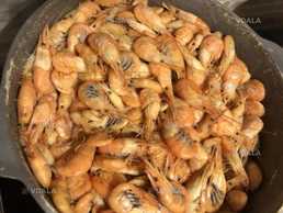 Свежайшая морская Черноморская рыба - бычки, камбала, крабы, рачки. - VDALA.PRO