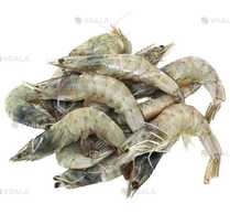 Креветка размером 30/40 с головой - VDALA.PRO