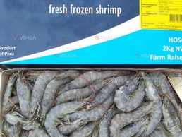 Креветка ванамей свіжеморожена (Еквадор) розмір 70/80, без глазурі - VDALA.PRO