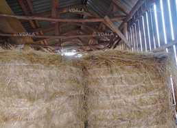 Сіно лугове з вкрапленнями люцерки, великі тюки 200-300кг - VDALA.PRO