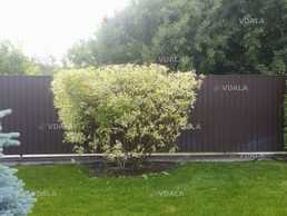 Послуги садівника. Покос трави. Послуги садівника. Покос трави. - VDALA.PRO