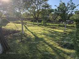 Косіння трави, газону, кущів, розчищення ділянок - VDALA.PRO