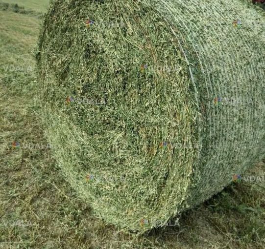Продам сіно люцерни в тюках. Тюки великі, круглі по 300-350 кг. - VDALA.PRO