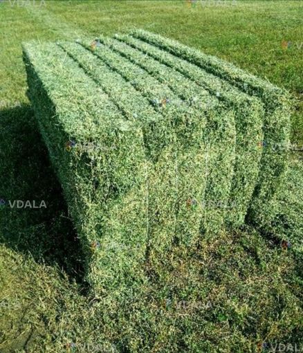 Продам сіно люцерни в тюках, самовиаіз. 150 грн/ шт - VDALA.PRO