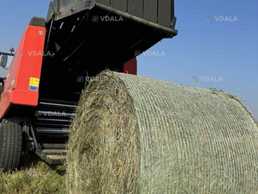 Сіно природніх трав 2025 року Рулон 1,60 на 1,20 Вага 300 + кг. - VDALA.PRO