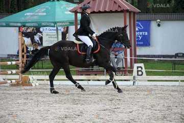 Тренування по конному спорту - VDALA.PRO